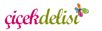 Gazemir �i�ek�iler